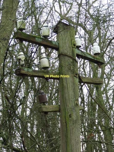 Photo 6"x4" A Remaining Pole Button's Green c2011