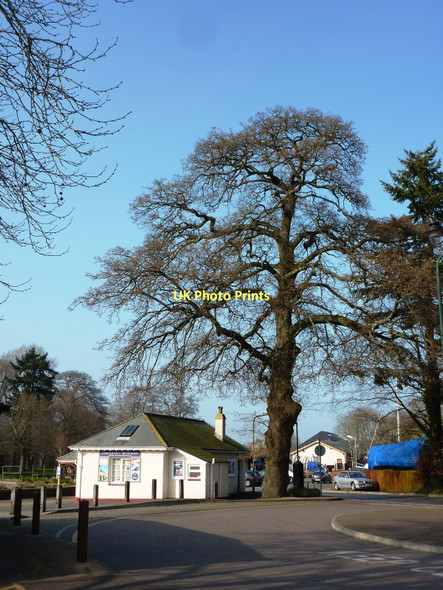 Photo 6"x4" Steamer Quay, Totnes Totnes c2011