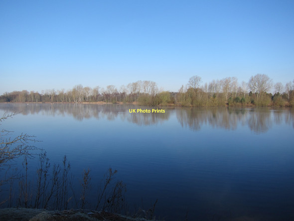 Photo 6"x4" Lynford Water Ickburgh c2011
