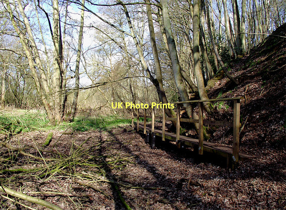 Photo 6"x4" Board walk by the River Worfe near Beckbury, Shropshire Beckbury\/SJ7601 c2011