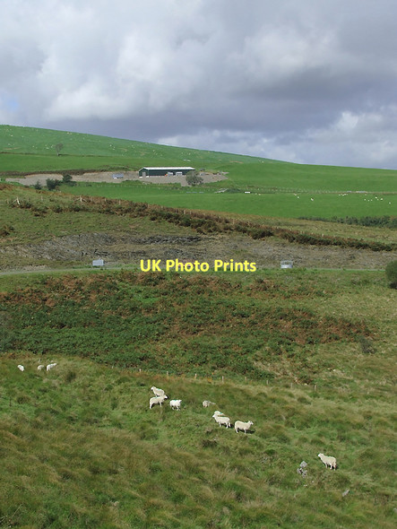 Photo 6"x4" Hill grazing south-east of Soar-y-Mynydd, Ceredigion Nant-llwyd c2010