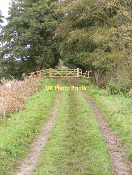 Photo 6"x4" Footpath and farm track on the marshes near Earsham Bungay c2010