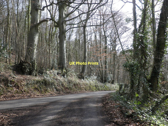 Photo 6"x4" Crossroads, at Heddon Oak Halsway c2011
