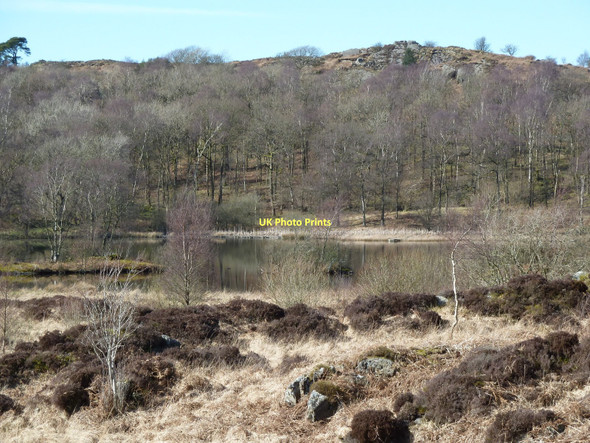 Photo 6"x4" Back Reddings Tarn Seatle c2011
