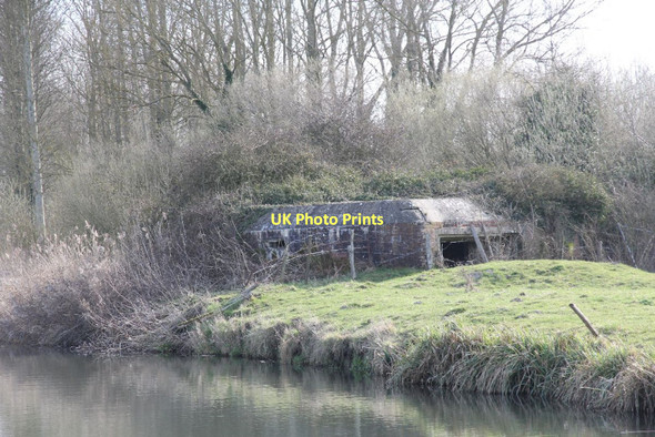 Photo 6"x4" Growing over the top Ufton Green c2011