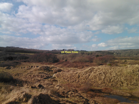Photo 6"x4" View of Long Acre from the sand dunes Norton\/SS4986 c2011