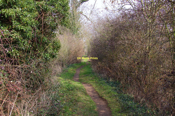 Photo 6"x4" The Thames Path by Clifton Cut Clifton Hampden c2011
