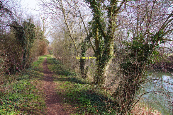 Photo 6"x4" The Thames Path by Clifton Cut Clifton Hampden c2011 P1