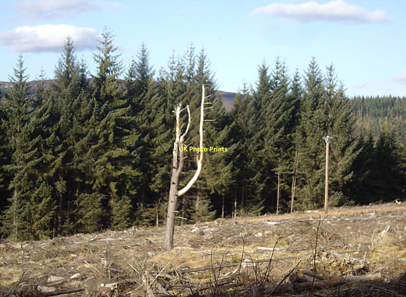 Photo 6"x4" Poles apart! Bridge of Canny c2011