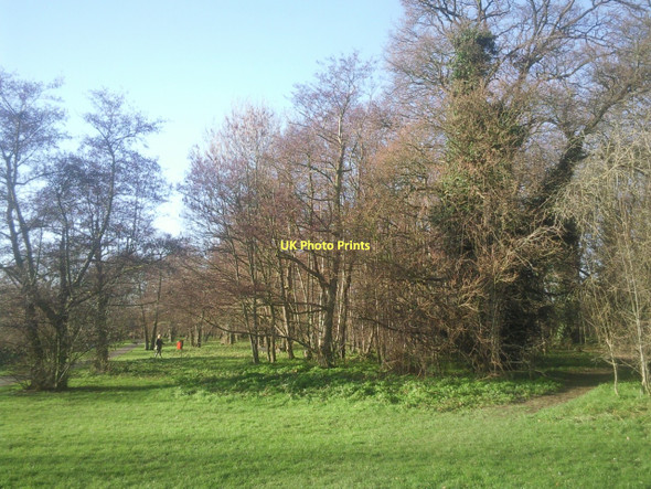 Photo 6"x4" Hollyoak Wood Park Bexley c2011