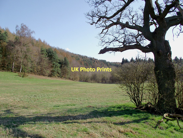 Photo 6"x4" Grass land near Badger, Shropshire Badger c2011