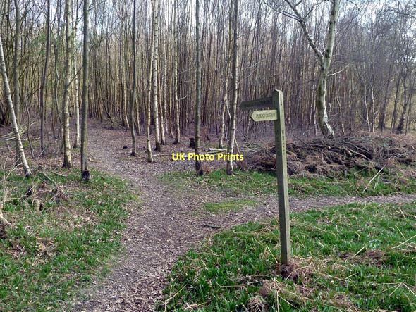 Photo 6"x4" Footpaths near Gatwick Airport Lowfield Heath c2011