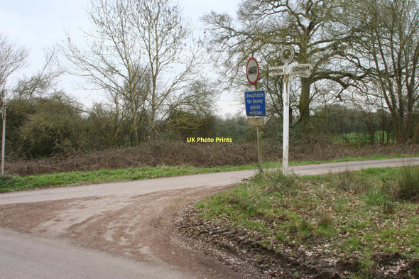 Photo 6"x4" Rye Common, Hampshire Hillside\/SU7550 c2011