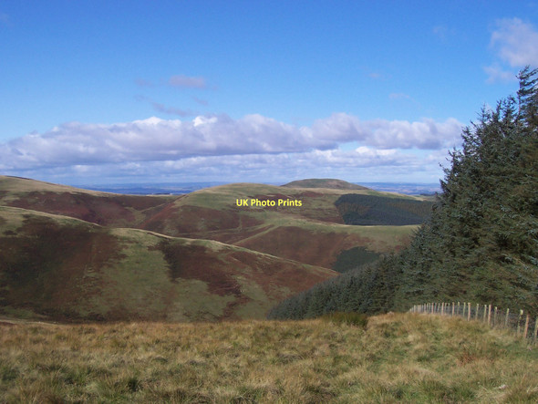 Photo 6"x4" Forest boundary fence between Loft Hill and Saughieside Hill Loft Hill\/NT8725 c2008