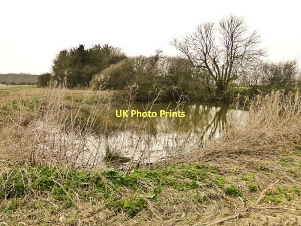 Photo 6"x4" Pond at the site of Potash Farm Hemp Green c2011