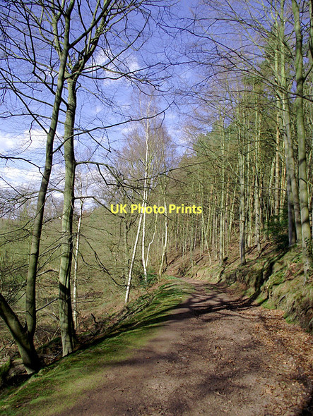 Photo 6"x4" Bridleway near Badger, Shropshire Badger c2011