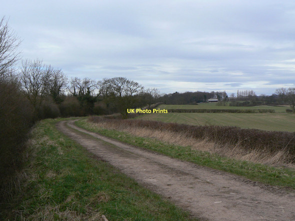 Photo 6"x4" Hungerhill Lane Lambley\/SK6345 c2011