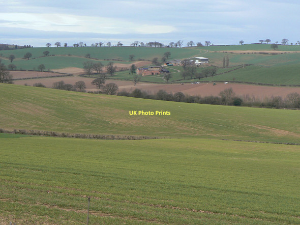 Photo 6"x4" Woodborough Park farm Arnold\/SK5945 c2011