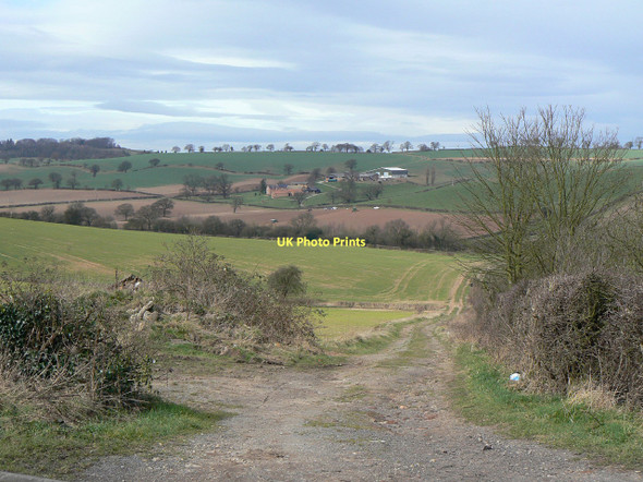 Photo 6"x4" Farm track off Bank Hill Arnold\/SK5945 c2011