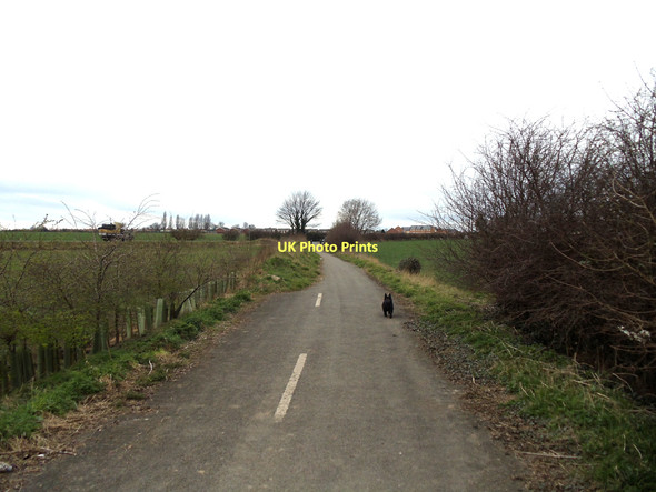 Photo 6"x4" Spitalgap Lane, looking to the junction with Street Furlong Lane. Pontefract c2011