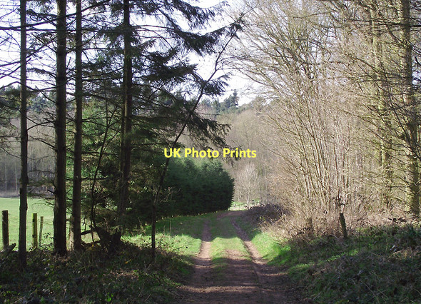 Photo 6"x4" Track near Badger, Shropshire Badger c2011