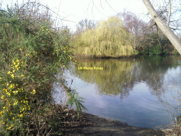 Photo 6"x4" Wandsworth Common reflection Clapham\/TQ2975 c2011