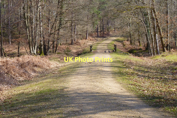 Photo 6"x4" Path and Bridge over Highland Water Newtown\/SU2710 c2011