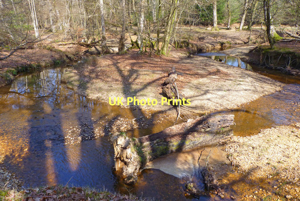 Photo 6"x4" Meander in Highland Water Newtown\/SU2710 c2011