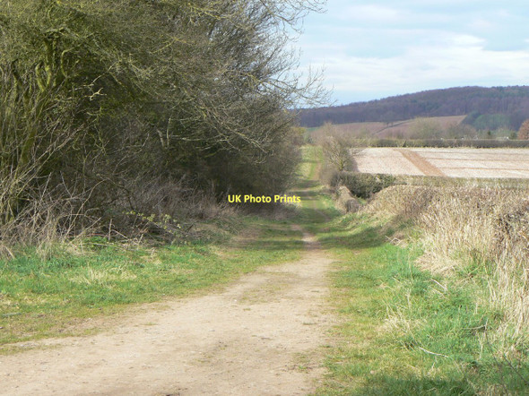 Photo 6"x4" Roe Hill Woodborough\/SK6347 c2011