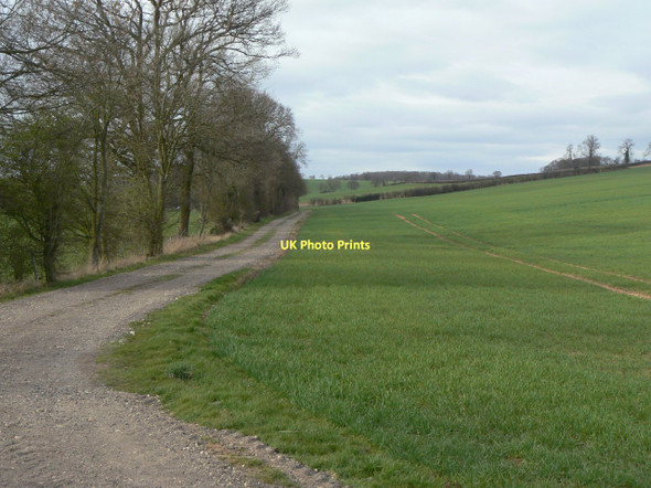 Photo 6"x4" Track to Park Farm Epperstone c2011