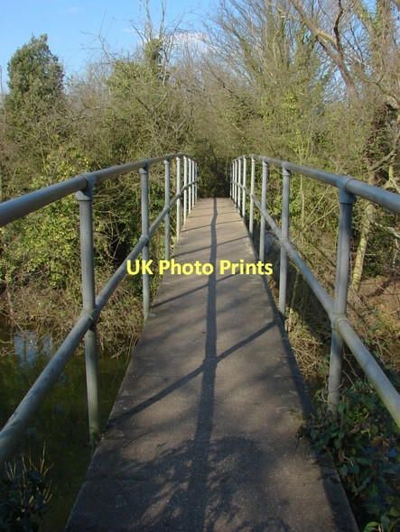 Photo 6"x4" Shepperton gravel pits Chertsey c2011