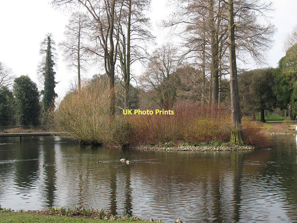 Photo 6"x4" Island in the lake at Kew Brentford c2011