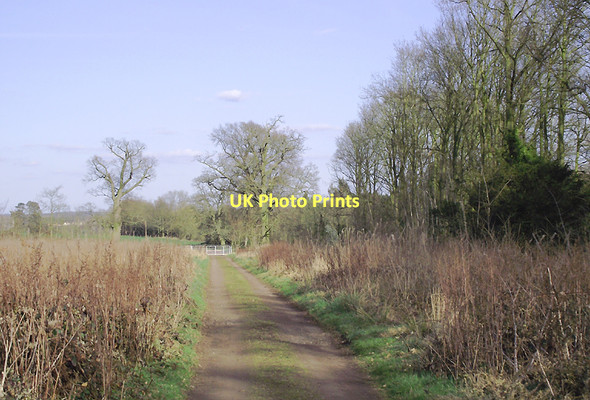 Photo 6"x4" Farm track near Badger, Shropshire Badger c2011