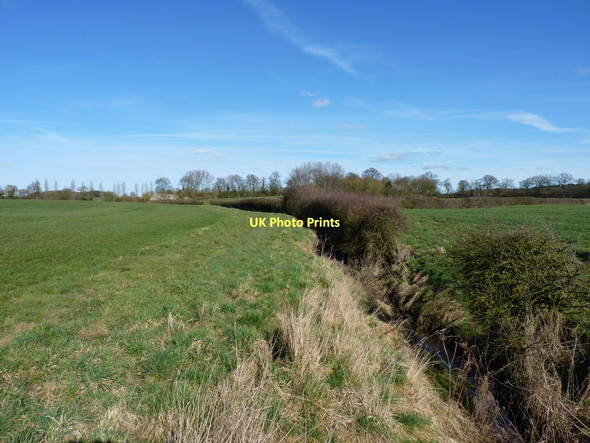 Photo 6"x4" Drainage ditch and hedge near White Ladies Priory Renshaw Wood c2011