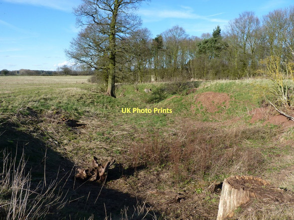 Photo 6"x4" Earthworks to the west of White Ladies Priory Renshaw Wood c2011