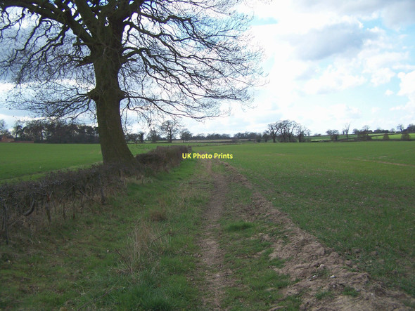 Photo 6"x4" Footpath Near Ivetsey Bank Bishops Wood c2011