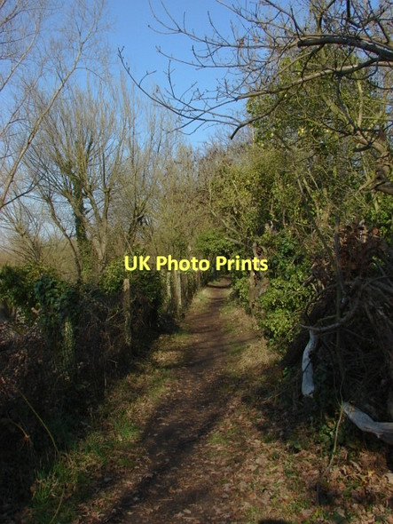 Photo 6"x4" Shepperton gravel pits Chertsey c2011
