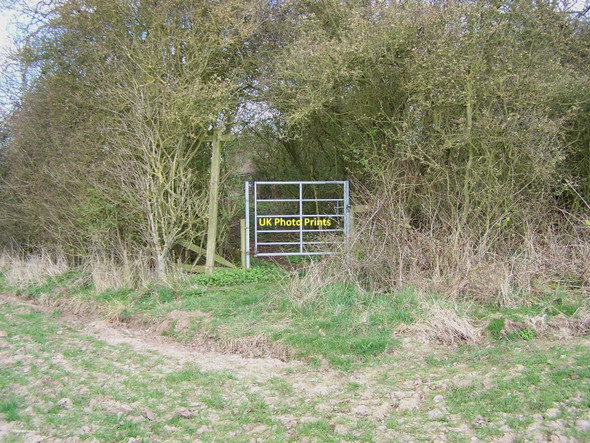 Photo 6"x4" Footpath Junction At Ivetsey Bank Bishops Wood c2011