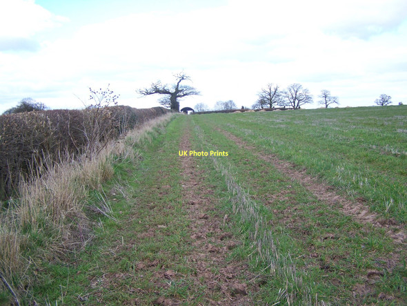 Photo 6"x4" Footpath To Blymhill Lawns Blymhill Lawns c2011