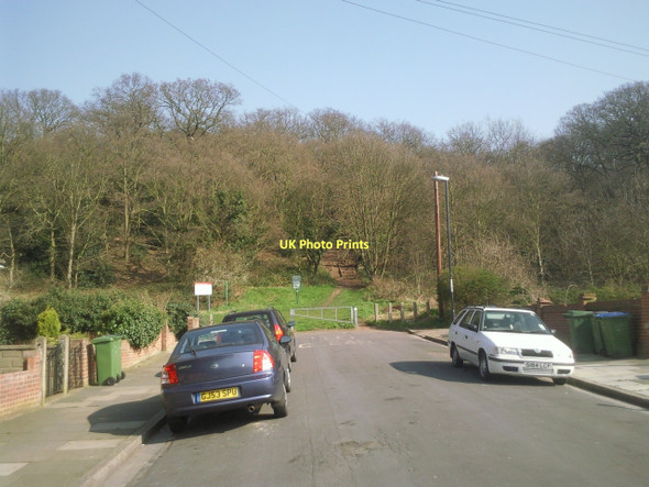 Photo 6"x4" Bostall Woods from Waterdale Road Bexley c2011