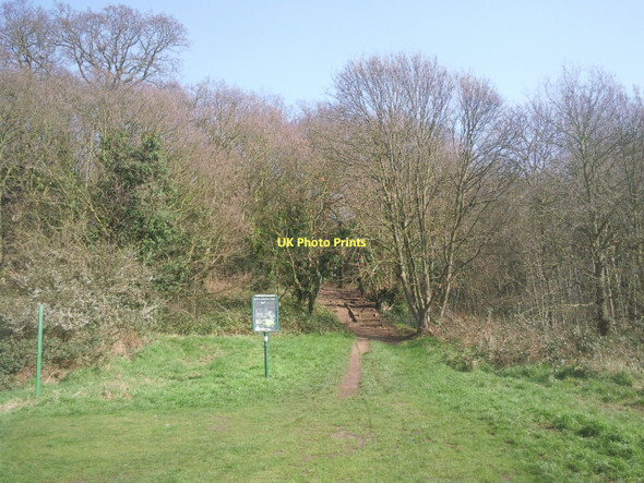 Photo 6"x4" The way into Bostall Woods Bexley c2011