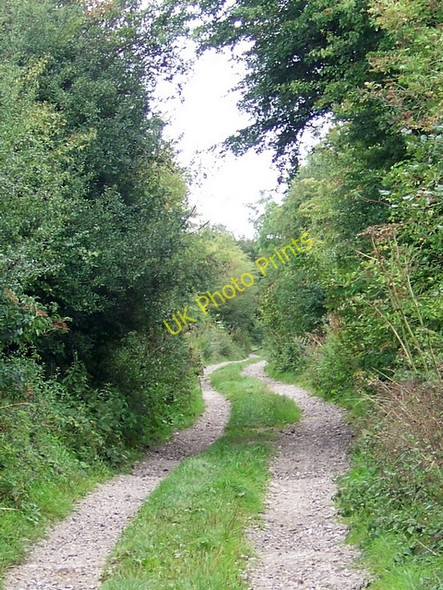 Photo 6"x4" Old Shaston Drove, Compton Down Compton Chamberlayne c2009