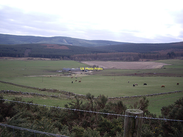 Photo 6"x4" View towards The Garrol Bridge of Feugh c2011