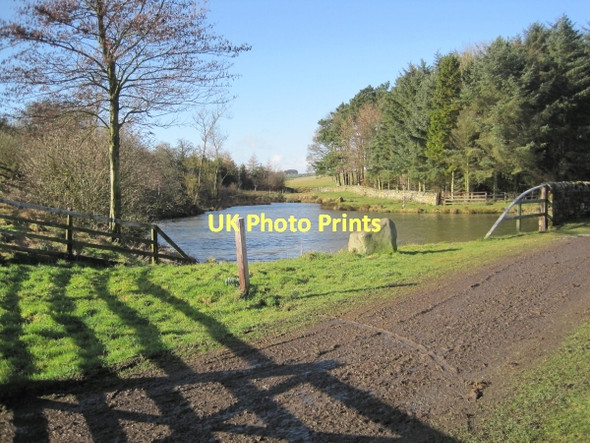 Photo 6"x4" Pond near Byerley Stud Wallridge c2011
