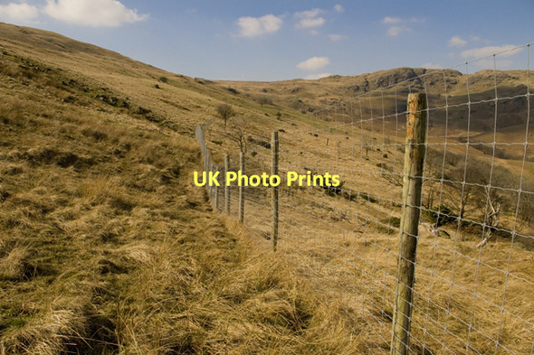 Photo 6"x4" Deer fence above Kentmere Hall Kentmere c2011