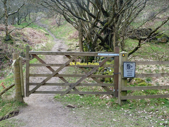 Photo 6"x4" Gate at footpath junction in Bretton Clough Bretton\/SK2077 c2011