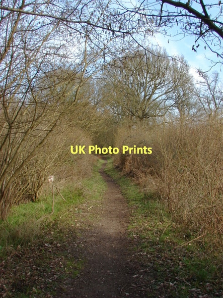 Photo 6"x4" Blind Lane Brook Place\/SU9561 c2011