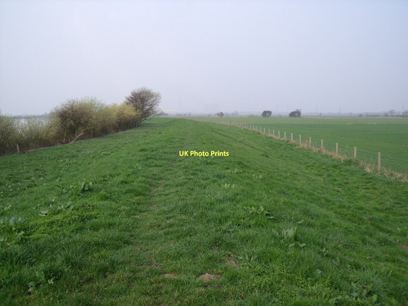 Photo 6"x4" Trans Pennine Trail beside the River Ouse Airmyn c2011