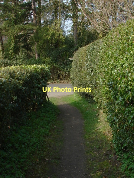Photo 6"x4" Fisher Lane, Woking Hook Heath c2011
