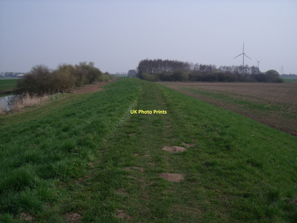 Photo 6"x4" Footpath beside the River Derwent Barmby on the Marsh c2011